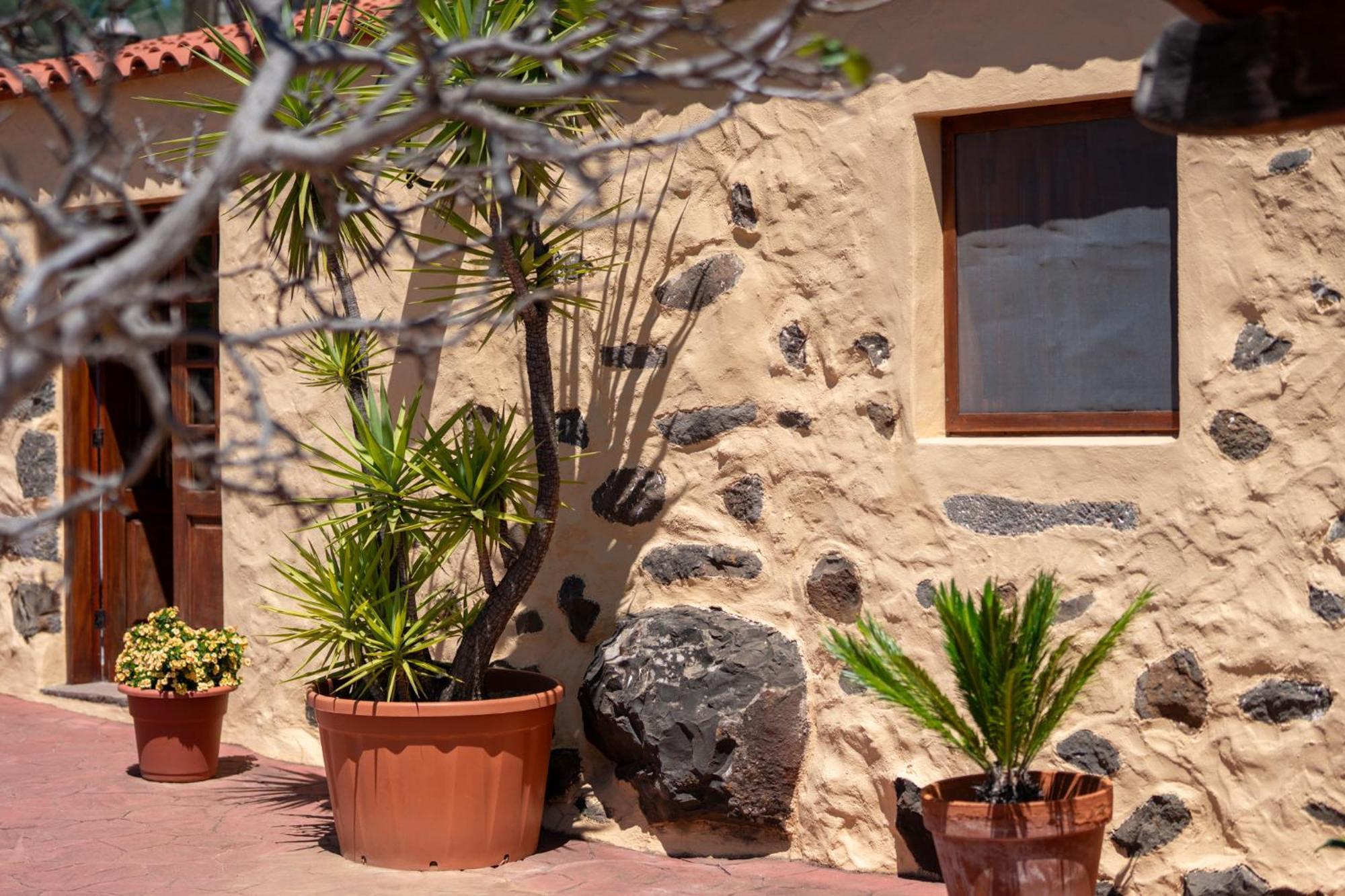 Casa Rural Tinamar Vega de San Mateo Kültér fotó